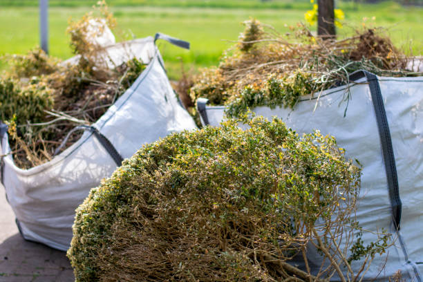 Demolition Debris Removal in Cuero, TX